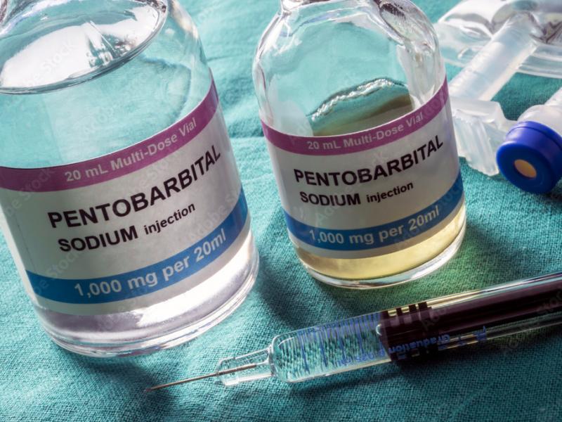 Christa Pike: Gescheiterte Hinrichtung mit Giftspritze – Anwälte enthüllen grausame Details