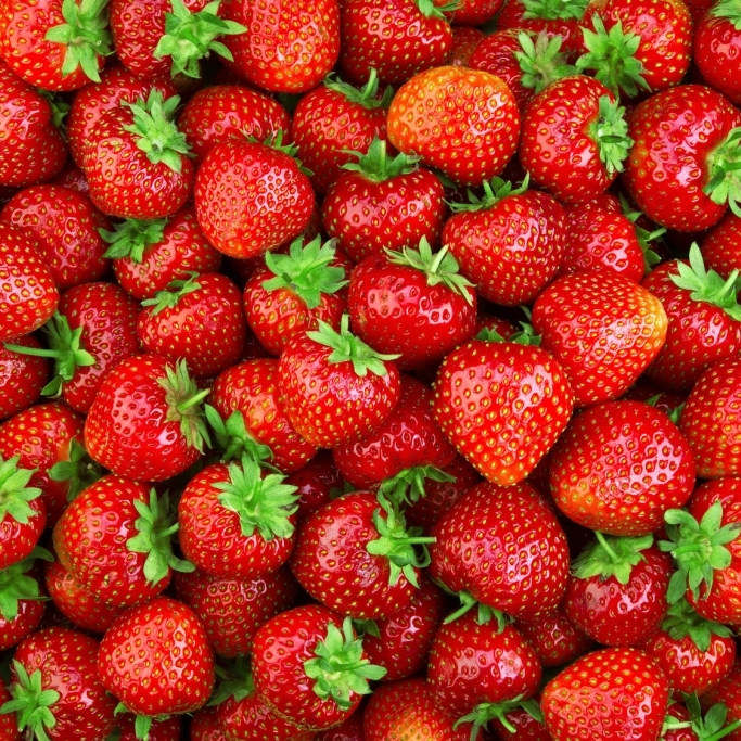 Tödliche Erdbeeren im Aldi? Das steckt hinter der Warnung