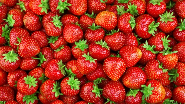 Sind Erdbeeren von Aldi wirklich so gefährlich?