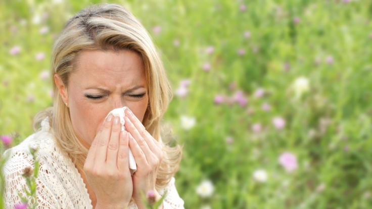 Allergiker kämpfen oft auch in den eigenen vier Wänden gegen die Pollen.
