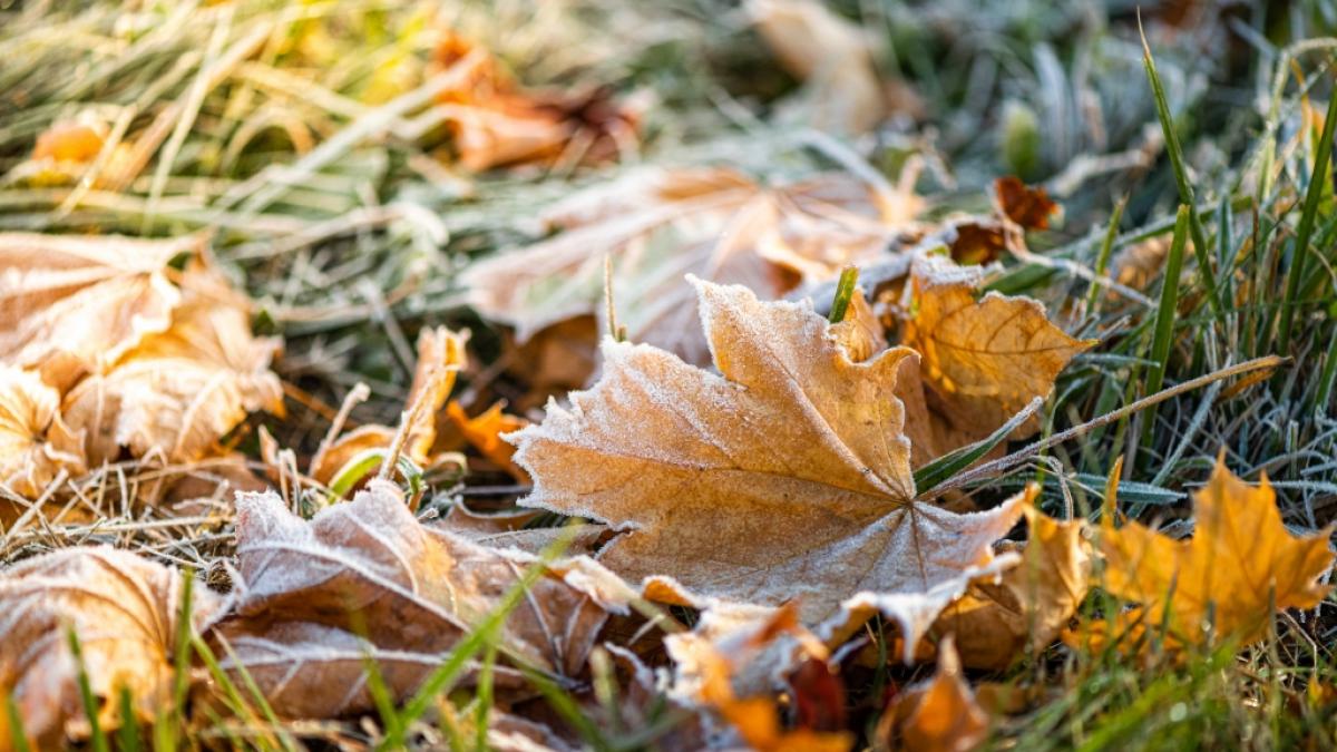 P&uuml;nktlich zum Herbstanfang purzeln in Deutschland die Temperaturen. (Foto)