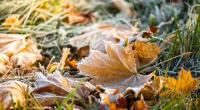 Pünktlich zum Herbstanfang purzeln in Deutschland die Temperaturen.