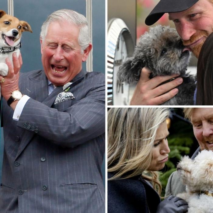 An diese tierischen Gefährten haben die Royals ihr Herz verloren