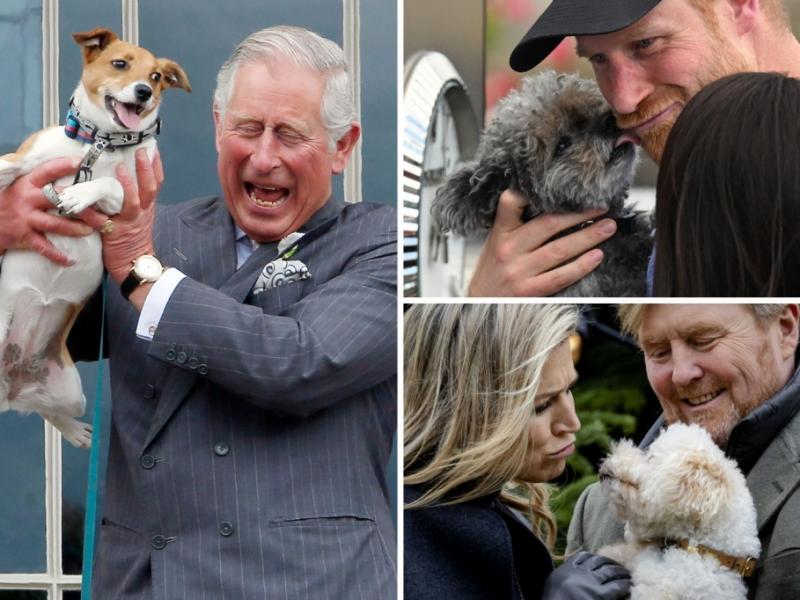 Prinzessin Kate, Königin Mette-Marit, Königin Margrethe: An diese tierischen Gefährten haben die Royals ihr Herz verloren
