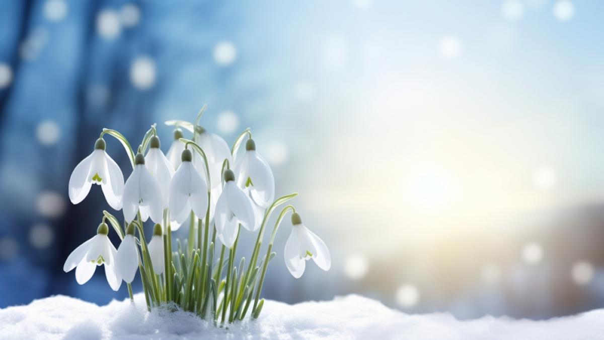 Erwartet uns ein Winter-Comeback im M&auml;rz? (Symbolbild) (Foto)