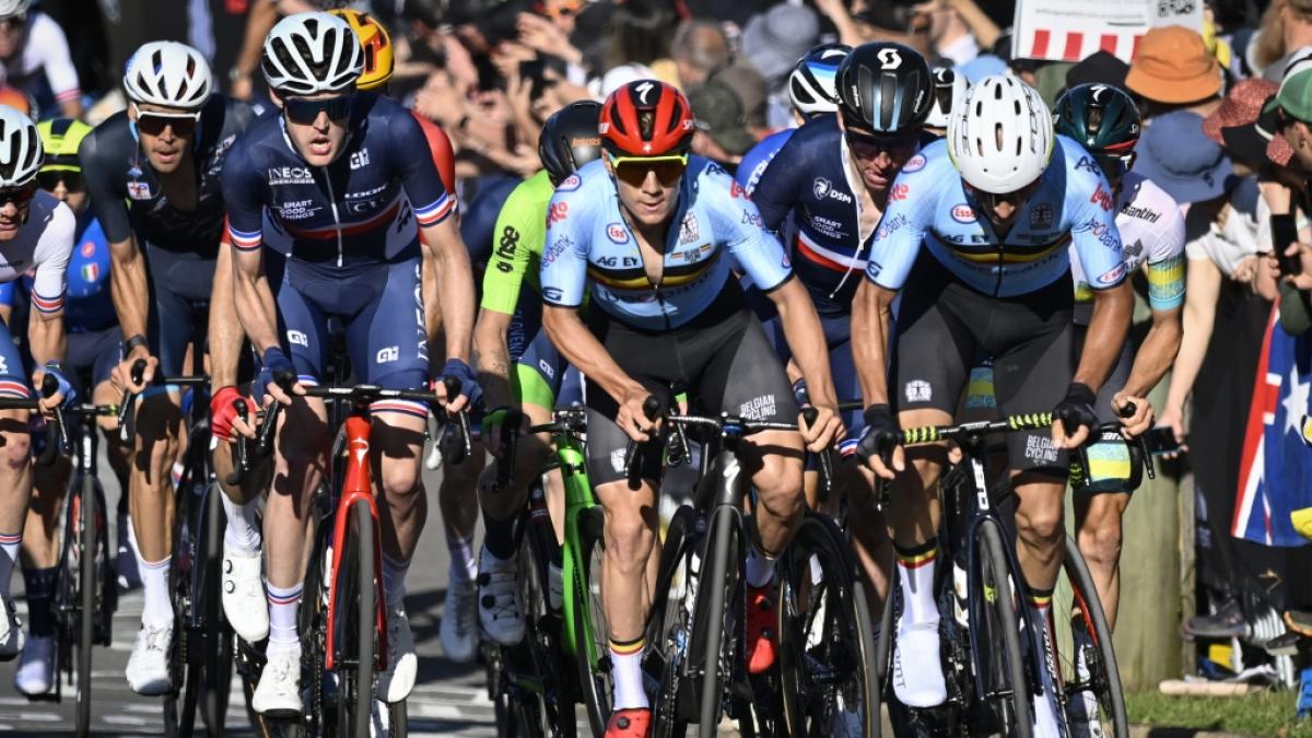 Radsport im Fernsehen: Das sind die aktuellen TV-Highlights. (Foto)