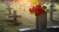 Eine 71 Jahre alte Frau ist am Grab ihres Sohnes brutal ermordet worden - ihr Ex-Mann wurde unter Tatverdacht festgenommen (Symbolfoto).