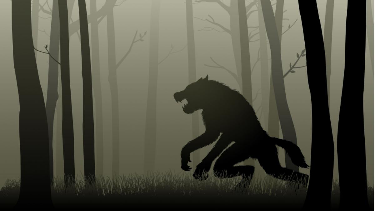 In den USA wurde eine Kreatur mit teils menschlichem K&ouml;rper, teils tierischem K&ouml;rper fotografiert. Handelt es sich dabei um einen Werwolf? (Foto)