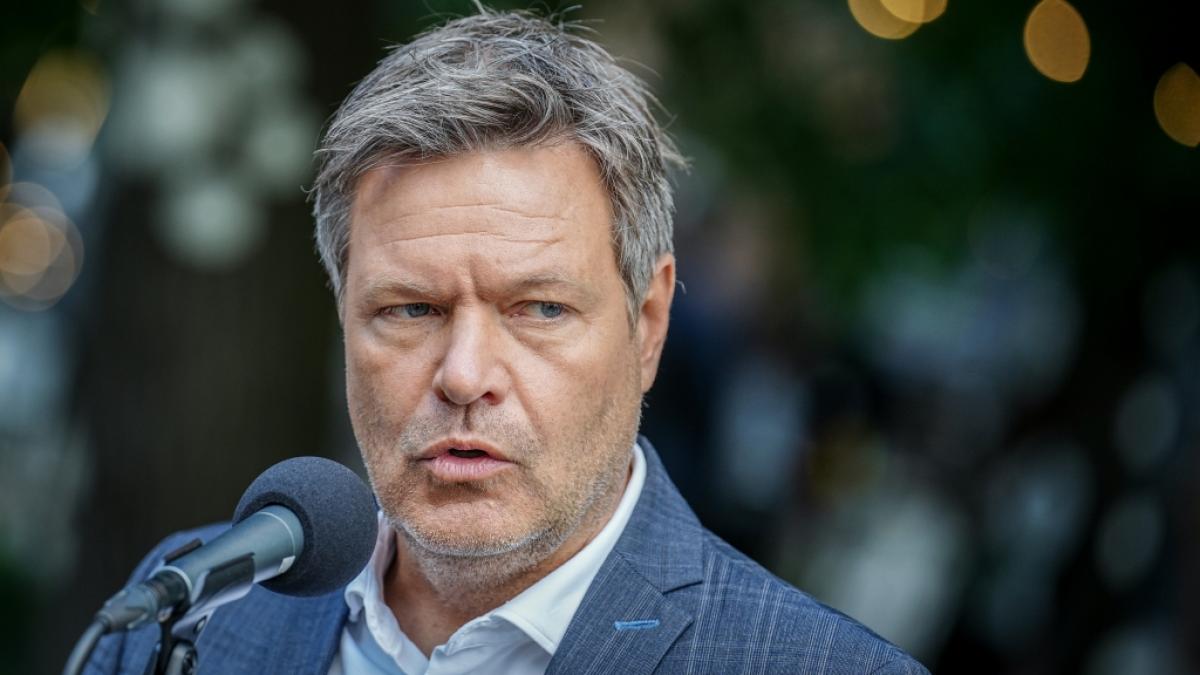 Robert Habeck sorgt jetzt mit einer &Auml;u&szlig;erung beim Ostdeutschen Wirtschaftsforum f&uuml;r gro&szlig;e Emp&ouml;rung. (Foto)