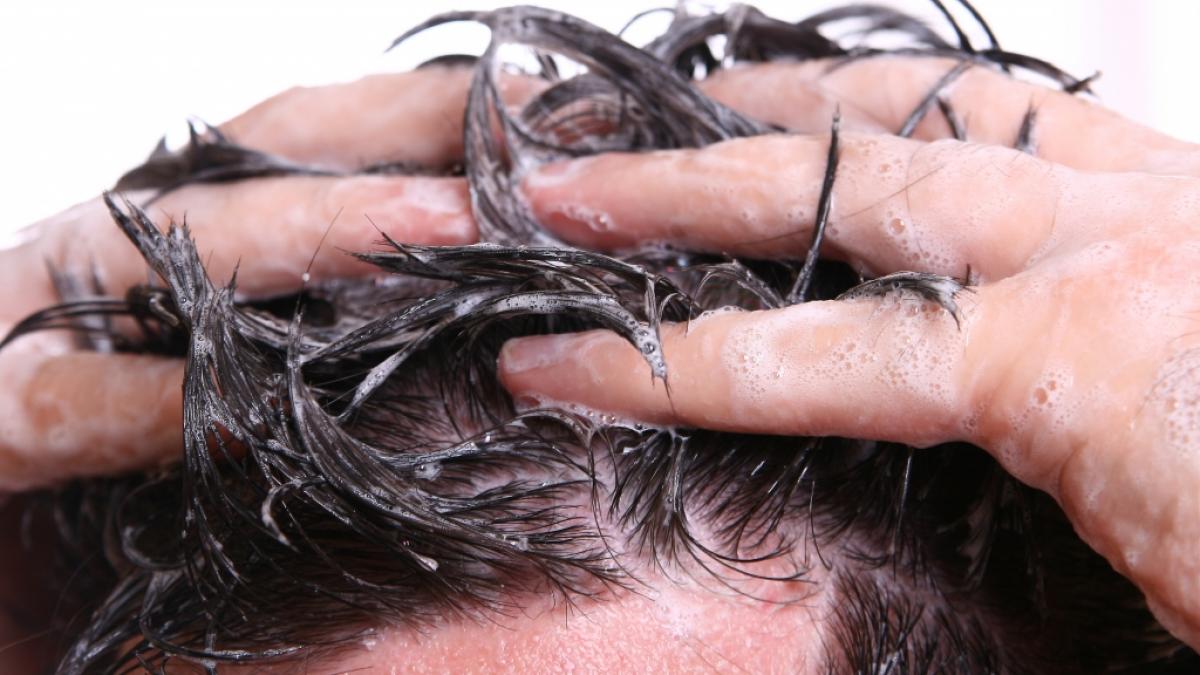 &Ouml;kotest hat 27 Anti-Schuppen-Shampoos getestet. (Foto)