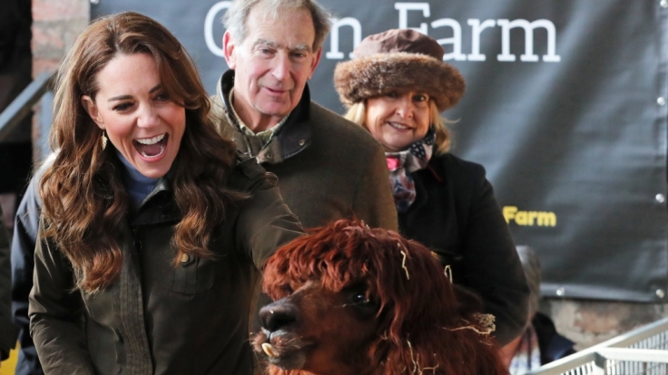 Kate, Herzogin von Cambridge, streichelt ein Alpaka (Vicugna pacos) während eines Besuchs auf der
