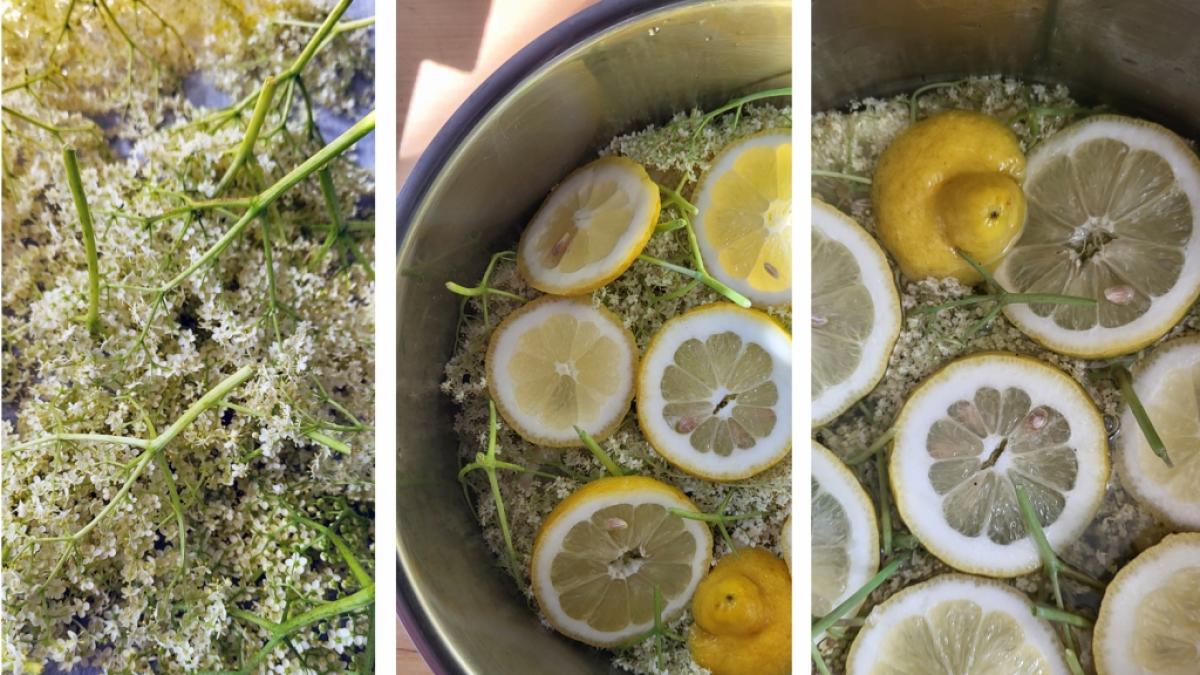 Schritt f&uuml;r Schritt ganz einfach: 1. Bl&uuml;ten vorsichtig ausklopfen, 2. Bl&uuml;ten mit Zitronen in Topf schichten, 3. Hei&szlig;es Zuckerwasser &uuml;ber Bl&uuml;ten und Zitronen gie&szlig;en (Foto)