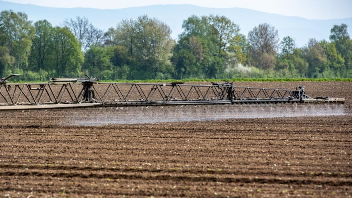 Pestizide werden in der Landwirtschaft zur Bek&auml;mpfung von Sch&auml;dlingen eingesetzt. (Foto)