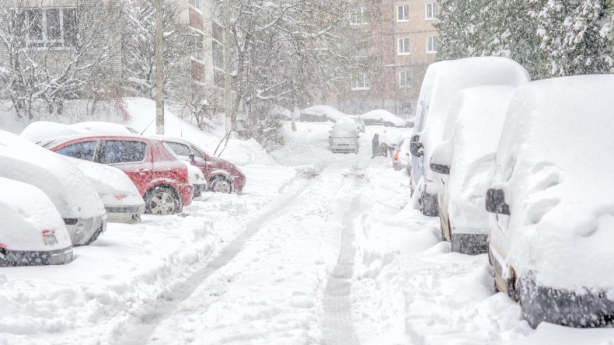 Wettervorhersage: Es wird schneien. (Foto)