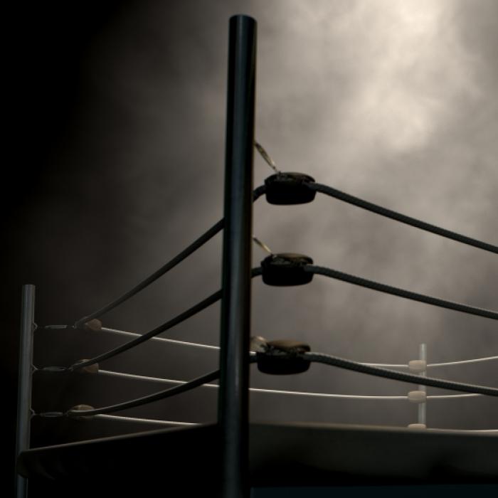 Wrestling-Szene unter Schock! Walisische Kampfsport-Ikone (82) stirbt an Sepsis