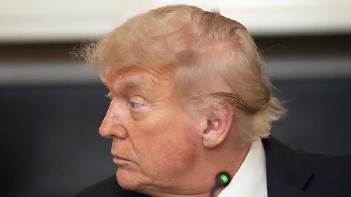 Gegen Donald Trumps Milit&auml;rparade regt sich Widerstand. (Foto)