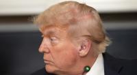 Gegen Donald Trumps Militärparade regt sich Widerstand.