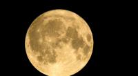 Der Juli-Vollmond ist der größte des ganzen Jahres.