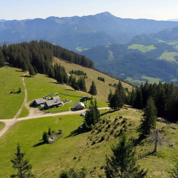 Wann und wo man die Wiederholung sehen kann