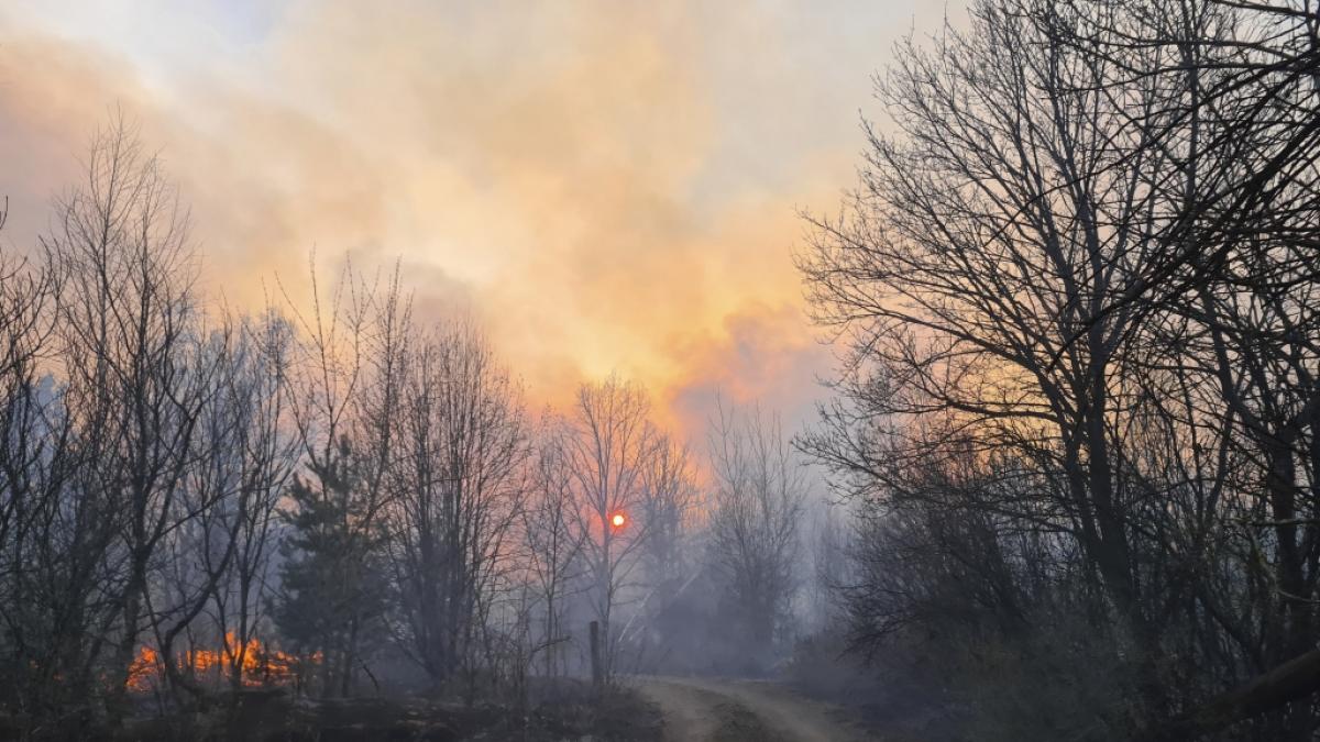 In einem radioaktiv verseuchten Wald nahe Tschernobyl w&uuml;tet ein Feuer. (Foto)