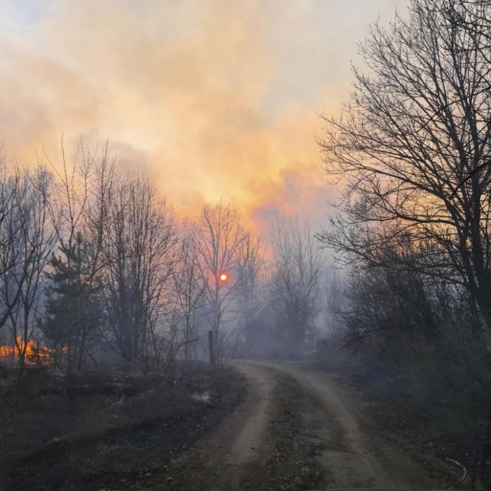 Kaum Löscherfolge! Radioaktiv verseuchter Wald lodert weiter