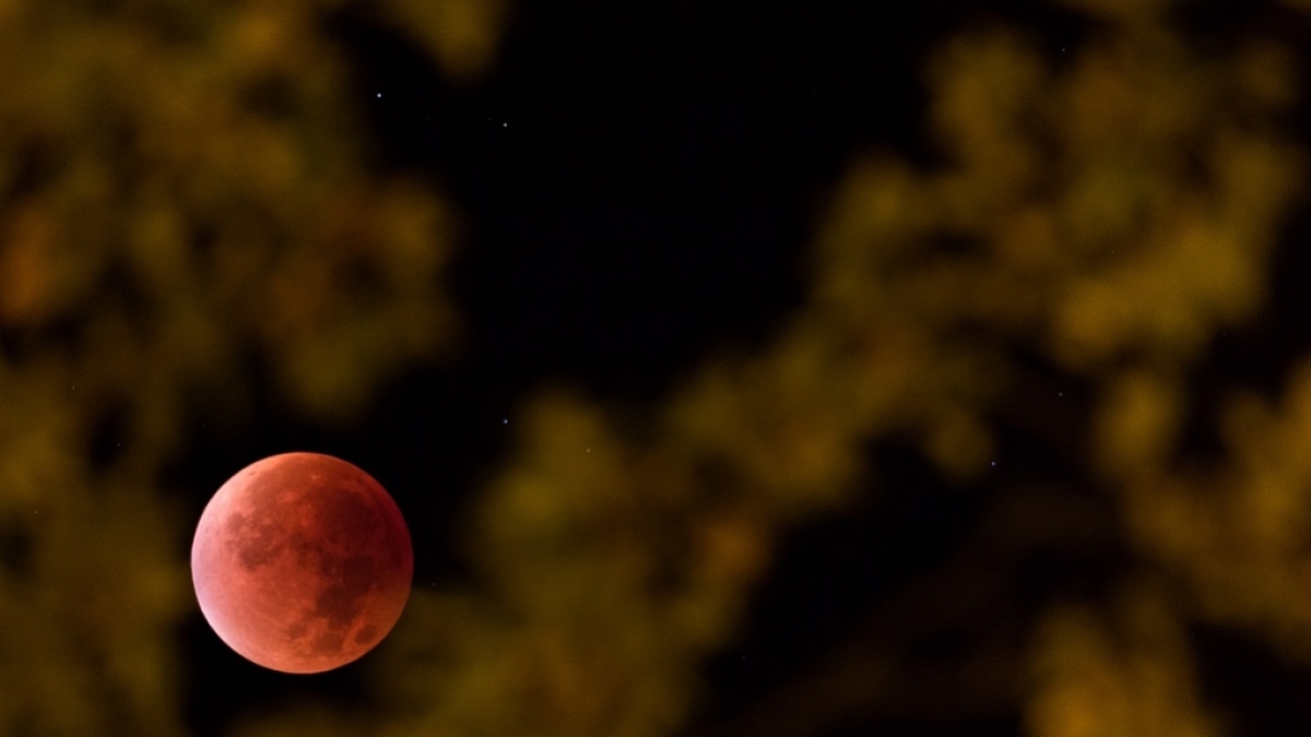 Der Mond scheint am 28.09.2015 in Osnabrück (Niedersachsen) durch das Laub eines Baumes. (Foto)