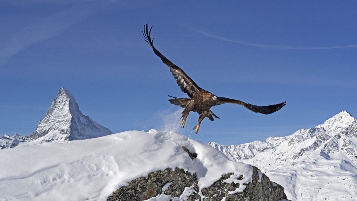 Die Alpen bei Das Erste (Foto)