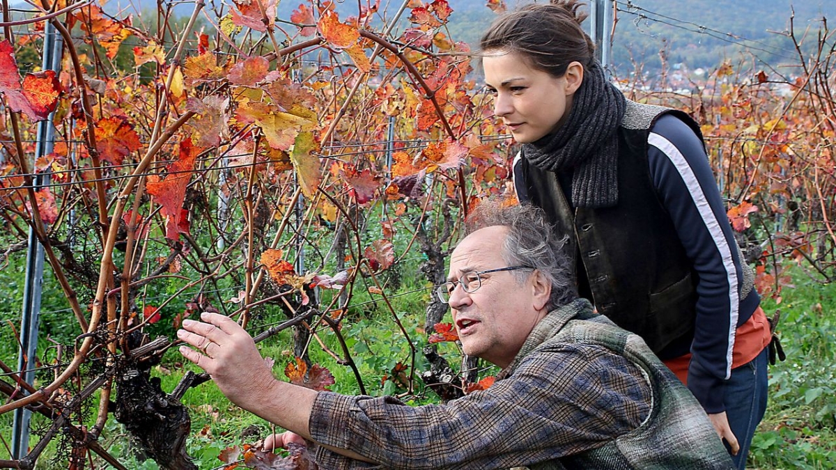Weingut Wader bei Das Erste (Foto)