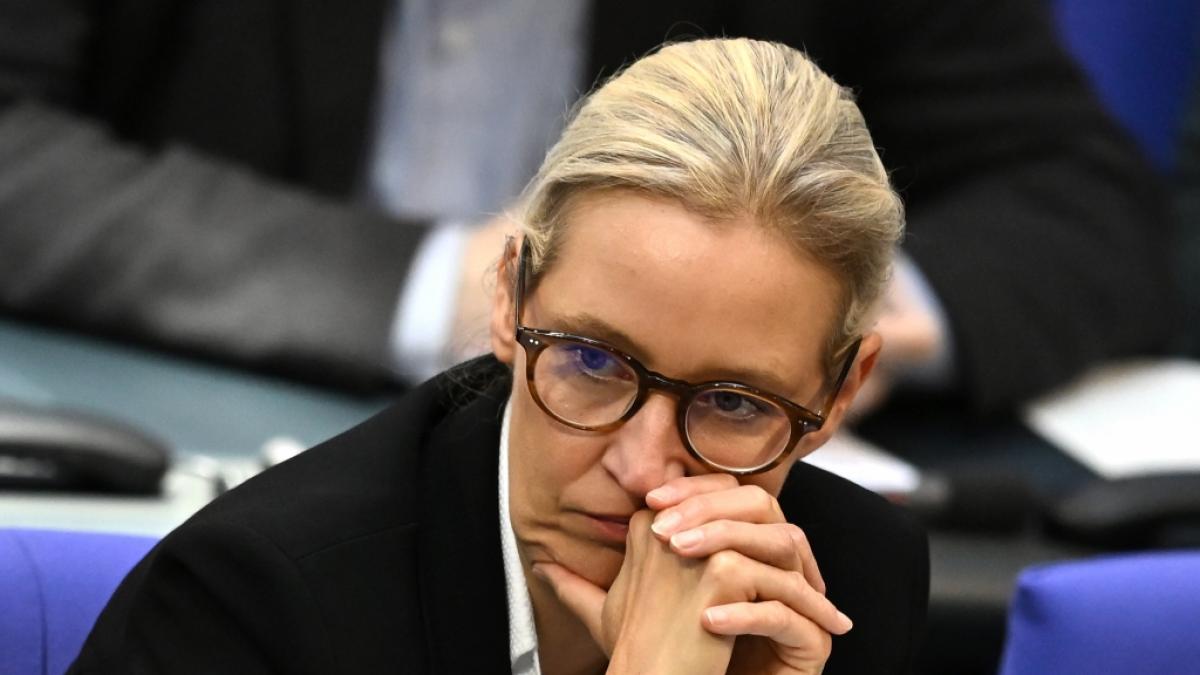 AfD-Co-Chefin Alice Weidel f&auml;llt im aktuellen Politikerranking drei Pl&auml;tze zur&uuml;ck. (Foto)