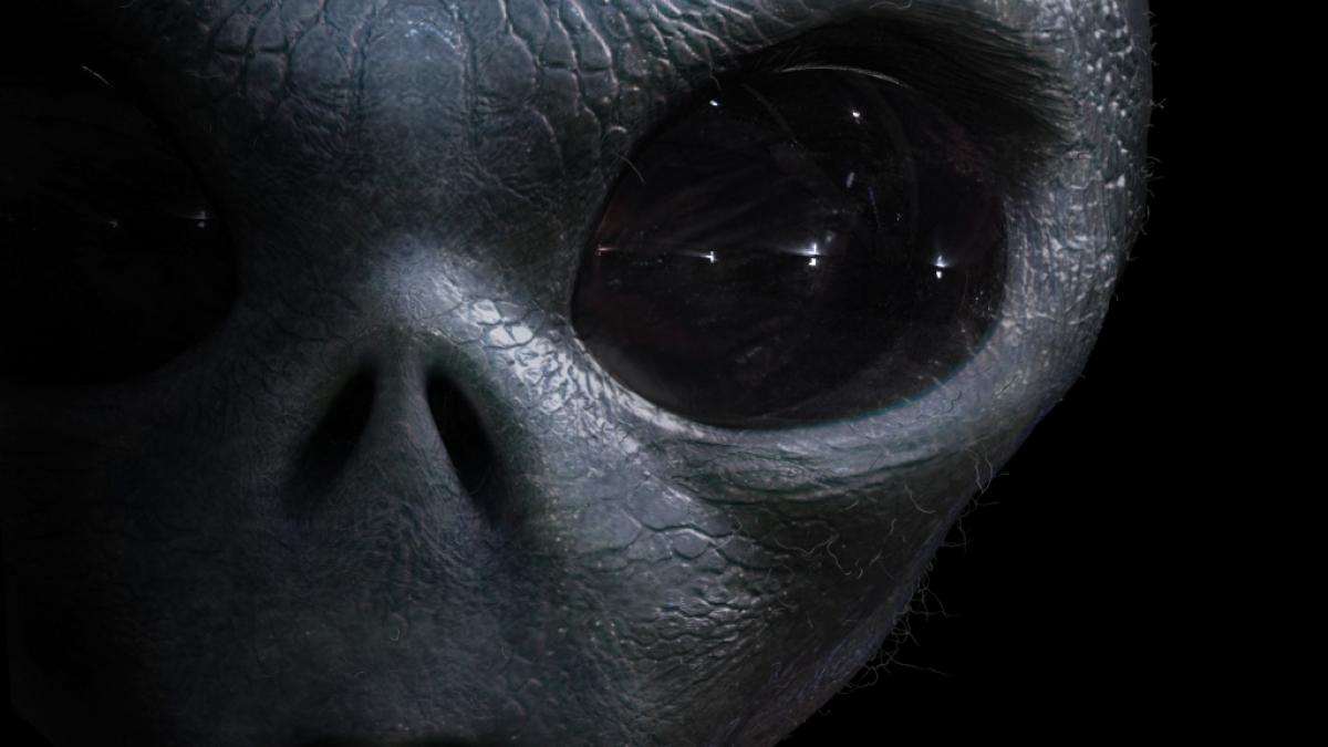 Ein Alien-See-Wesen wurde scheinbar in Australien angeschwemmt. (Symbolbild) (Foto)