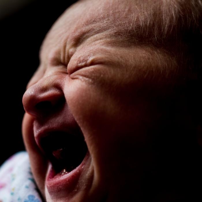 Es hing noch an der Nabelschnur! Baby in Mülltonne entdeckt