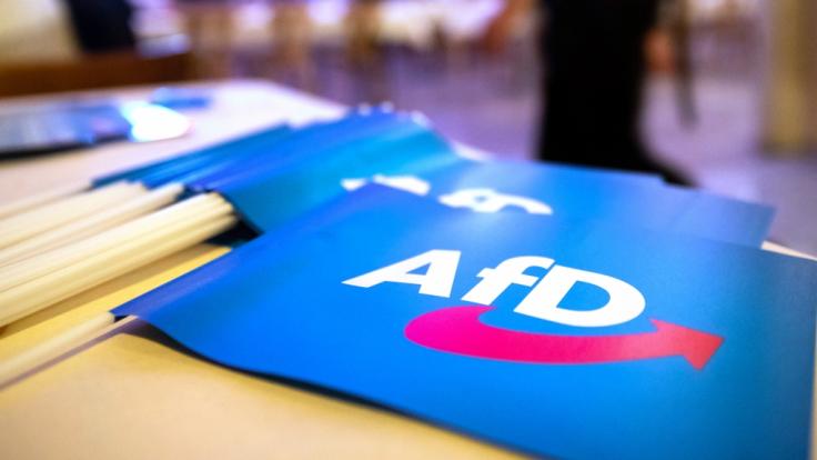 Aktuellen Umfragen zufolge hat die Alternative für Deutschland in der Wählergunst zugelegt.