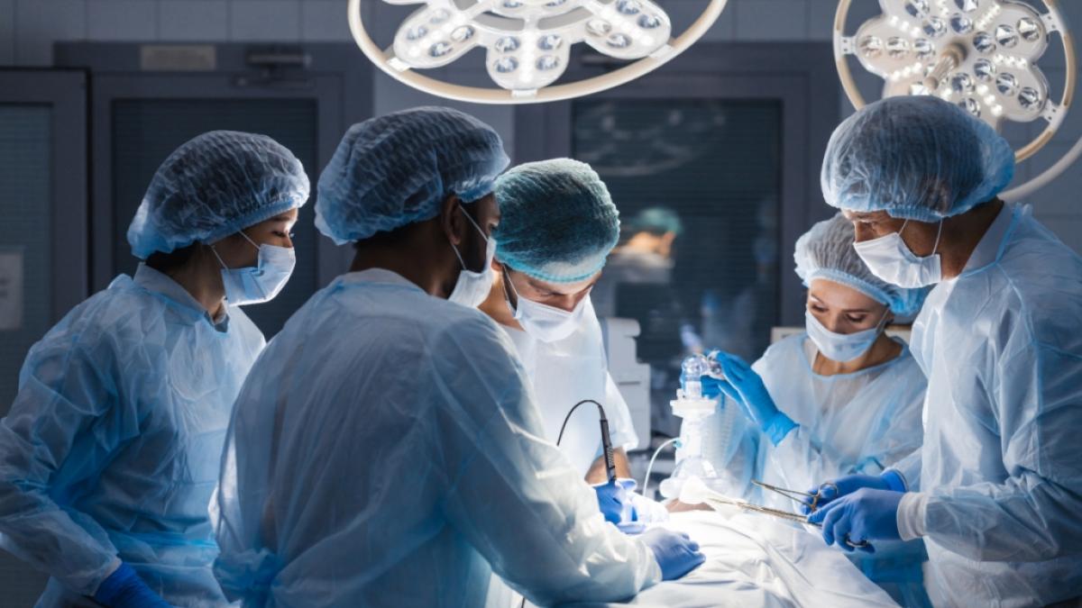 In New York ist die erste erfolgreiche Gesichts- und Doppelhand-Transplantation gegl&uuml;ckt (Foto)