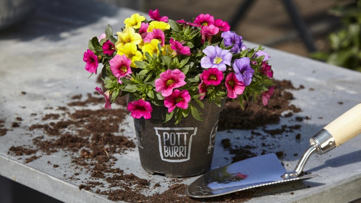 Hobbyg&auml;rtner:innen sparen mit Pottburri Zeit und M&uuml;ll. (Foto)