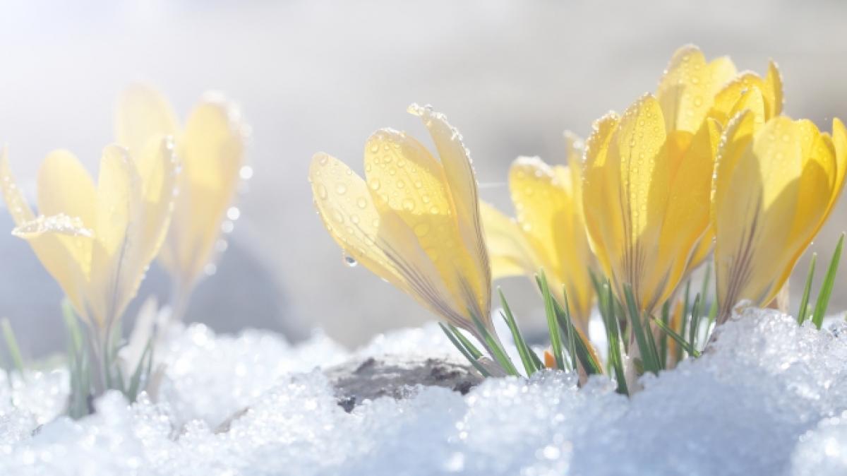 Droht Deutschland ein sp&auml;ter Wintereinbruch? (Foto)