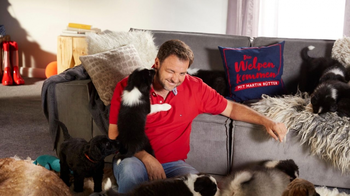 Die Welpen kommen - Mit Martin R&uuml;tter bei RTL (Foto)