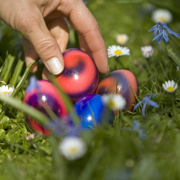 Sonne zur Eiersuche am Ostersonntag