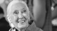 Schimpansen-Forscherin Jane Goodall ist mit 91 Jahren gestorben.