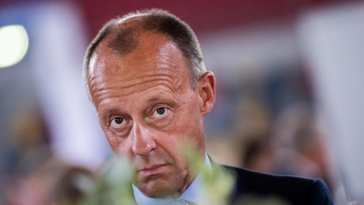 Friedrich Merz glaubt an eine Verschw&ouml;rung des "Establishments" gegen ihn als CDU-Parteivorsitzenden. Twitter explodierte fast vor Spott und Unglauben. (Foto)
