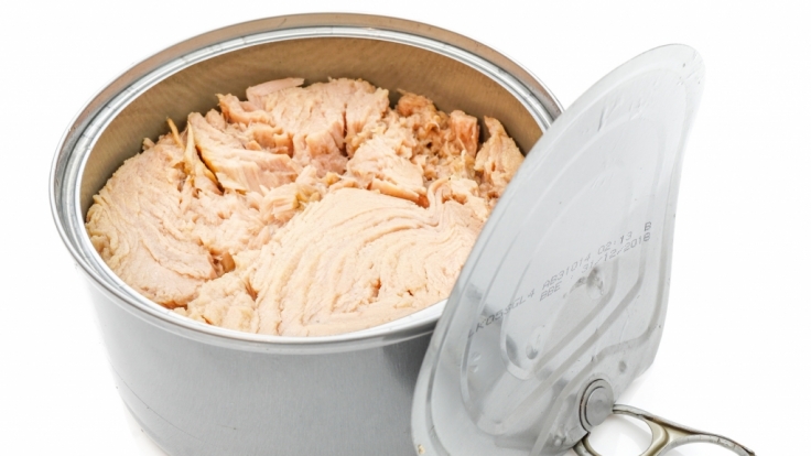 In jeder Thunfisch-Probe fanden die Tester Schadstoffe.
