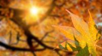 Können wir uns auf sommerliches Wetter im September freuen?