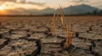 Ein starker El Niño könnte Dürren, Überschwemmungen und Hitzewellen begünstigen.