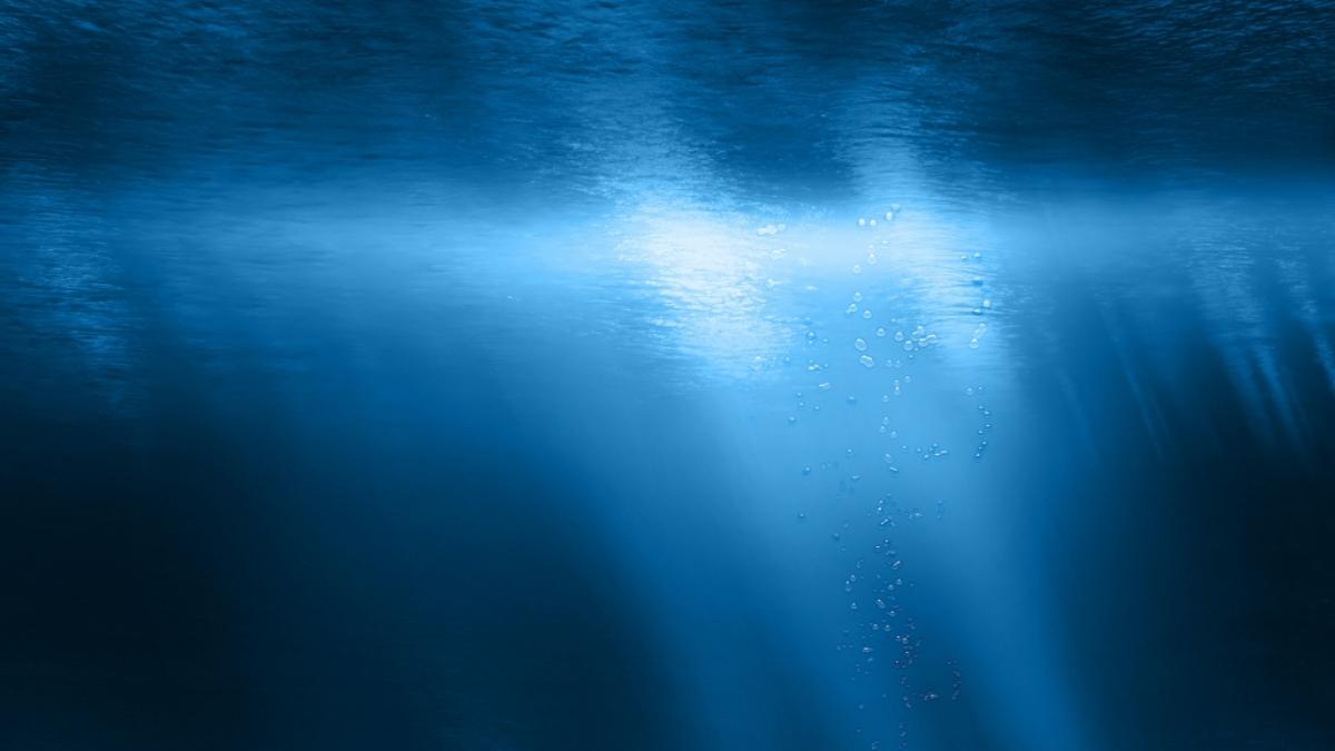 In der Tiefsee vor Kalifornien machten Wissenschaftler eine seltene Entdeckung. (Foto)