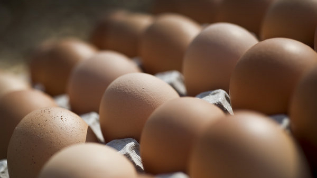 Eine Delikatesse auf den Philippinen und in Vietnam sind Balut. (Foto)