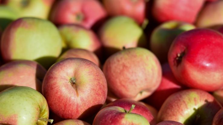 An apple a day für einen gesunden Darm - dank Bakterien und Viren.