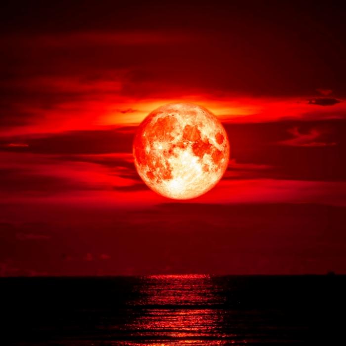 Erdbeermond aktuell! Kürzeste Vollmond-Nacht des Jahres