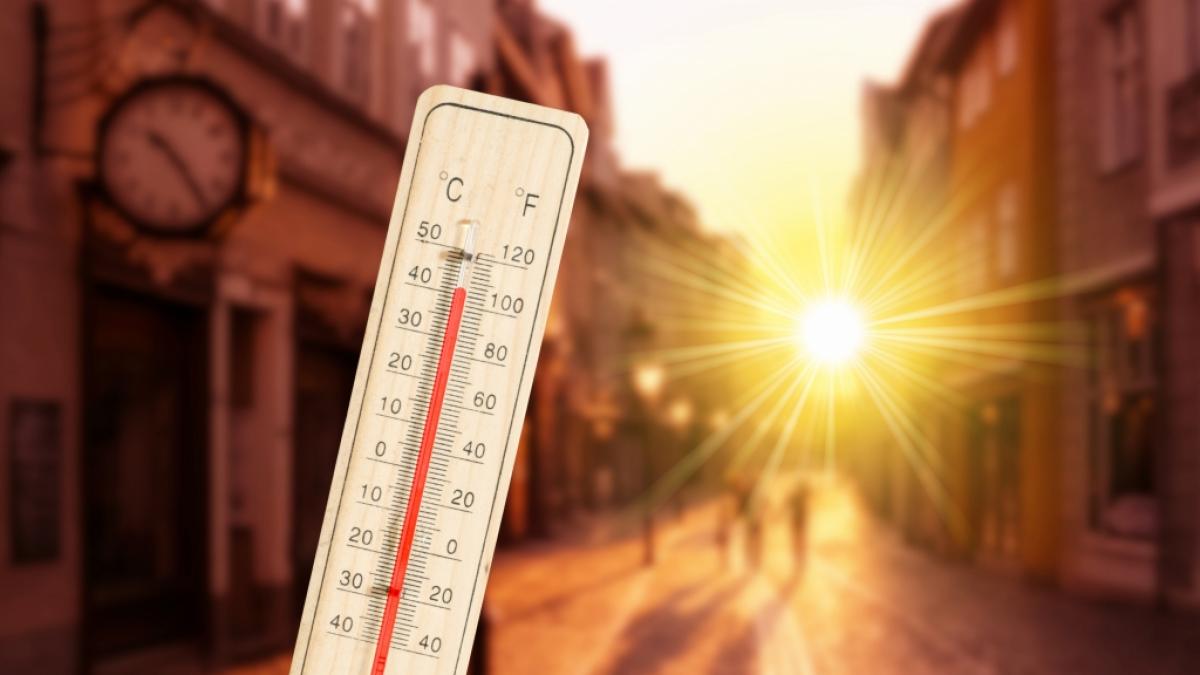 Der Sommer h&auml;lt nochmal Einzug in Deuschland. (Foto)