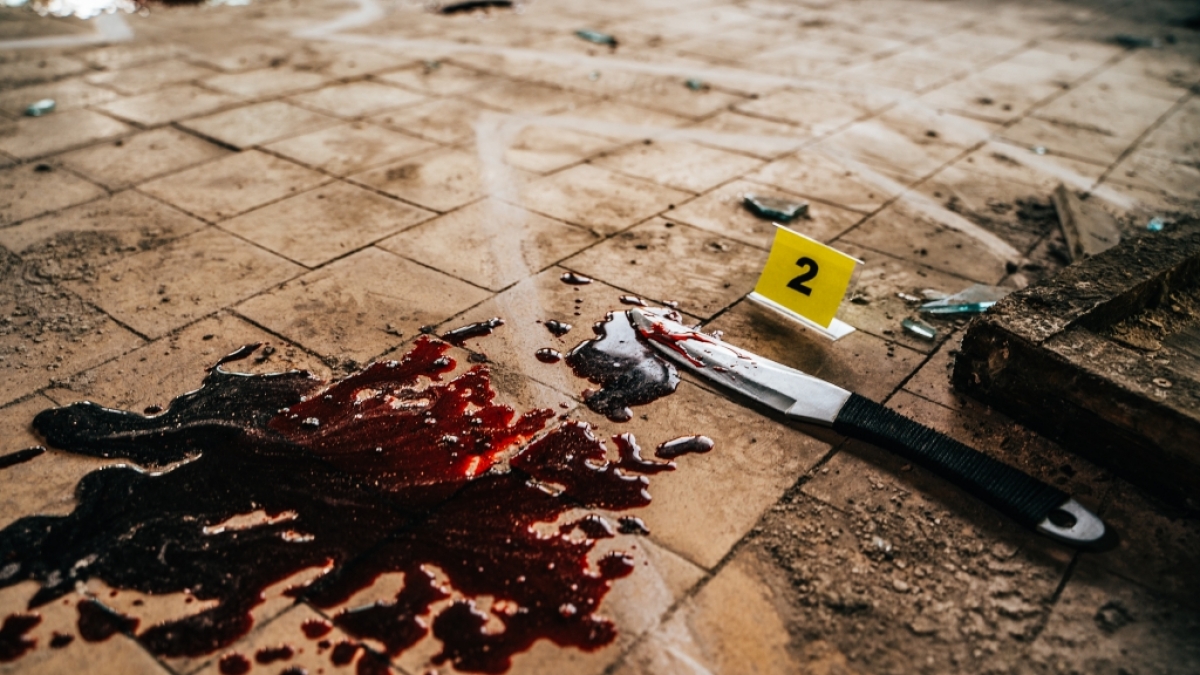 Babak Khorramdin wurde von seinen eigenen Eltern ermordet und zerst&uuml;ckelt. (Foto)