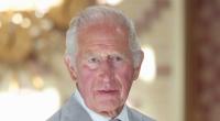 Die jüngsten Enthüllungen seiner Ex-Schwiegermutter dürften König Charles ganz und gar nicht gefallen.