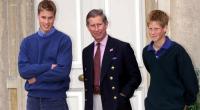 Wer zwischen 16 und 20 Jahre alt ist und als Doppelgänger von Prinz Harry durchgehen könnte, hat mit ein bisschen Glück eine glänzende Karriere als Netflix-Star vor sich.